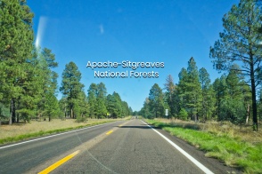 Apache-Sitgreaves National Forests, US 60, AZ 77, Show Low, Arizona, USA, fotoeins.com